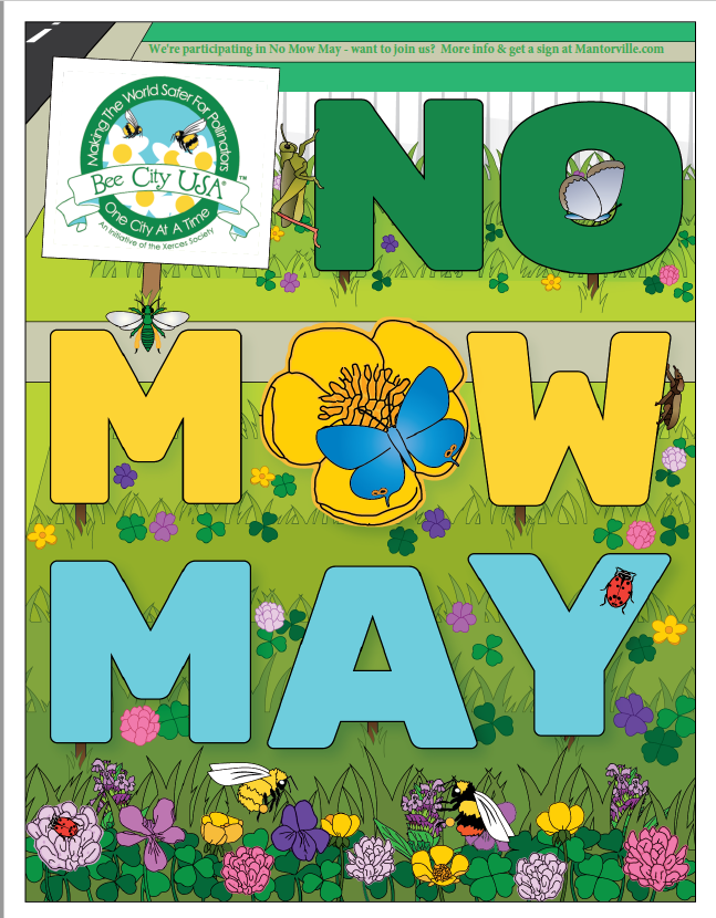 Image of bees, butterflies and flowers with words No Mow May and Bee City USA